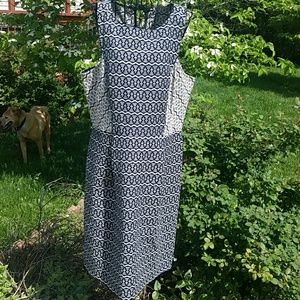 LOFT dress size 12